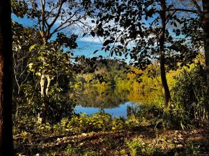 Tour and Retreat in India - Kerala